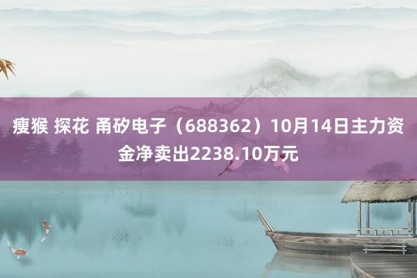 瘦猴 探花 甬矽电子（688362）10月14日主力资金净卖出2238.10万元
