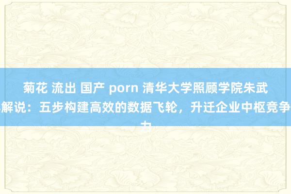 菊花 流出 国产 porn 清华大学照顾学院朱武祥解说：五步构建高效的数据飞轮，升迁企业中枢竞争力
