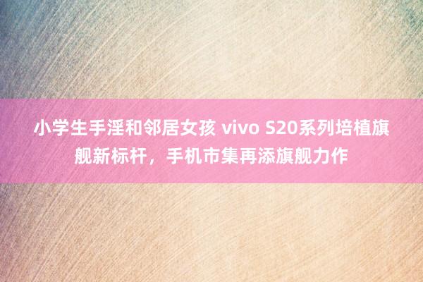 小学生手淫和邻居女孩 vivo S20系列培植旗舰新标杆，手机市集再添旗舰力作