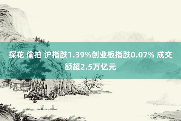 探花 偷拍 沪指跌1.39%创业板指跌0.07% 成交额超2.5万亿元
