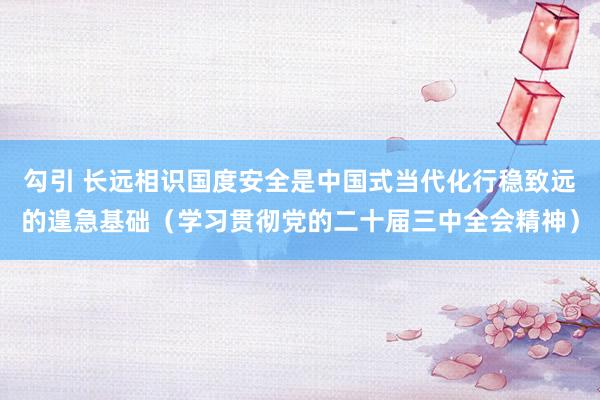 勾引 长远相识国度安全是中国式当代化行稳致远的遑急基础（学习贯彻党的二十届三中全会精神）