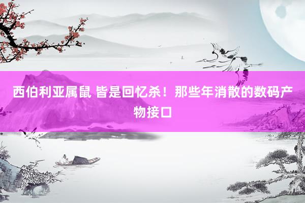 西伯利亚属鼠 皆是回忆杀！那些年消散的数码产物接口
