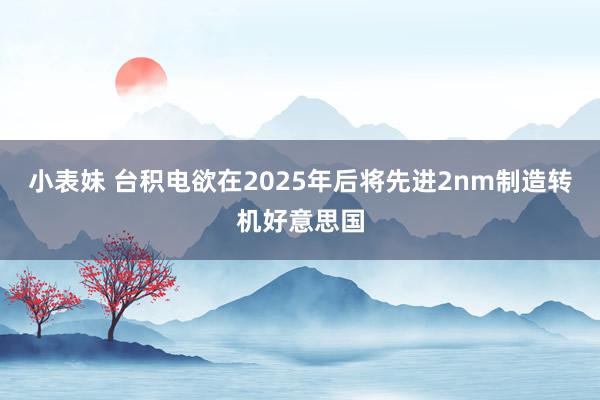 小表妹 台积电欲在2025年后将先进2nm制造转机好意思国