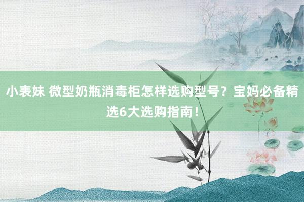 小表妹 微型奶瓶消毒柜怎样选购型号？宝妈必备精选6大选购指南！