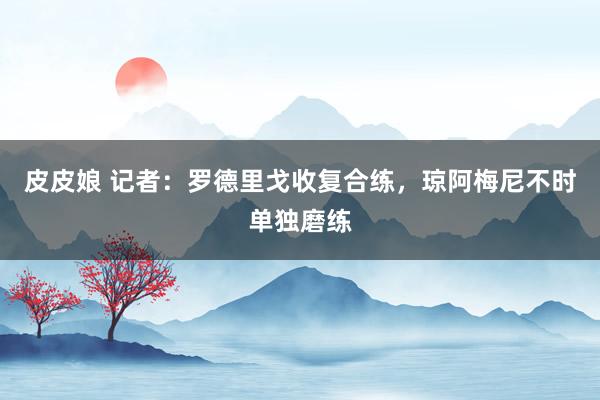 皮皮娘 记者：罗德里戈收复合练，琼阿梅尼不时单独磨练