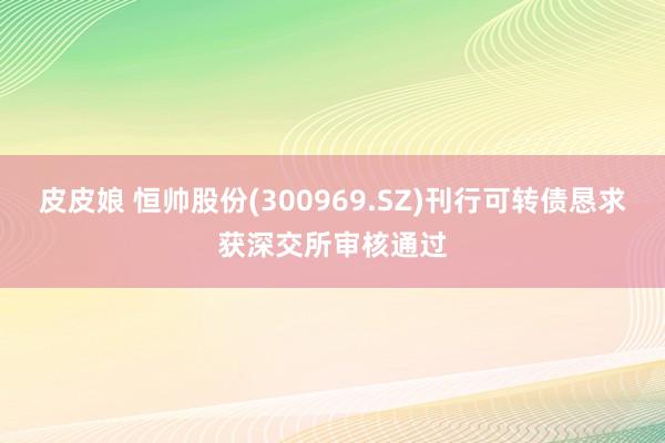 皮皮娘 恒帅股份(300969.SZ)刊行可转债恳求获深交所审核通过