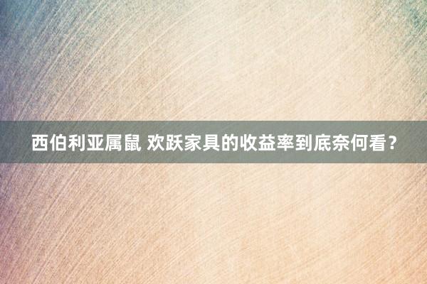 西伯利亚属鼠 欢跃家具的收益率到底奈何看？