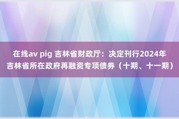 在线av pig 吉林省财政厅：决定刊行2024年吉林省所在政府再融资专项债券（十期、十一期）