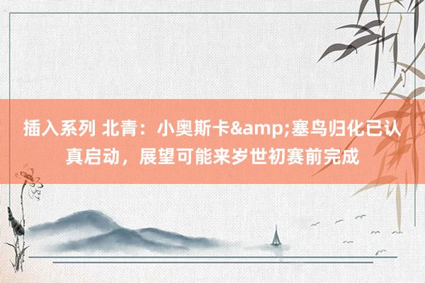 插入系列 北青：小奥斯卡&塞鸟归化已认真启动，展望可能来岁世初赛前完成