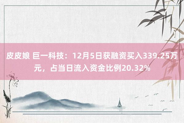 皮皮娘 巨一科技：12月5日获融资买入339.25万元，占当日流入资金比例20.32%