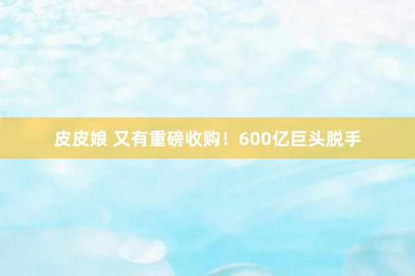 皮皮娘 又有重磅收购！600亿巨头脱手