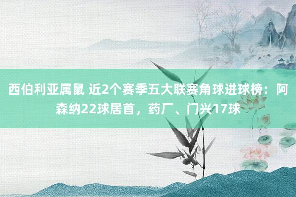 西伯利亚属鼠 近2个赛季五大联赛角球进球榜：阿森纳22球居首，药厂、门兴17球