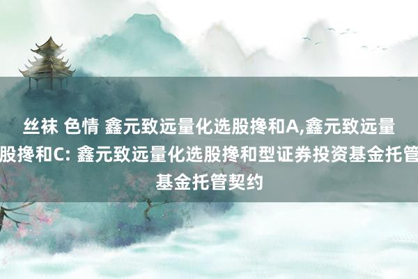 丝袜 色情 鑫元致远量化选股搀和A，鑫元致远量化选股搀和C: 鑫元致远量化选股搀和型证券投资基金托管契约