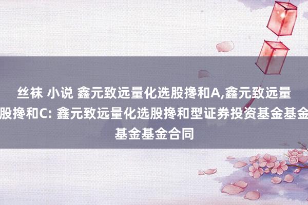 丝袜 小说 鑫元致远量化选股搀和A,鑫元致远量化选股搀和C: 鑫元致远量化选股搀和型证券投资基金基金合同