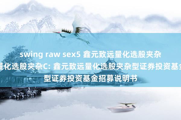 swing raw sex5 鑫元致远量化选股夹杂A，鑫元致远量化选股夹杂C: 鑫元致远量化选股夹杂型证券投资基金招募说明书