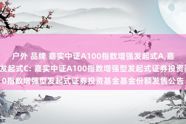 户外 品牌 嘉实中证A100指数增强发起式A，嘉实中证A100指数增强发起式C: 嘉实中证A100指数增强型发起式证券投资基金基金份额发售公告