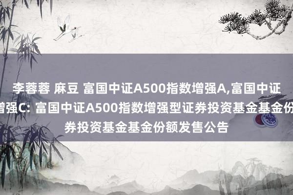 李蓉蓉 麻豆 富国中证A500指数增强A,富国中证A500指数增强C: 富国中证A500指数增强型证券投资基金基金份额发售公告