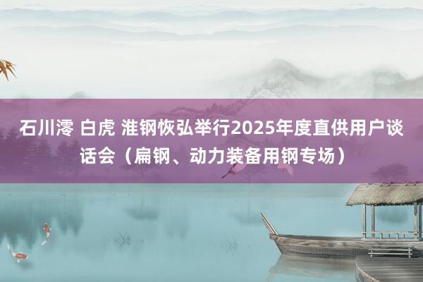 石川澪 白虎 淮钢恢弘举行2025年度直供用户谈话会（扁钢、动力装备用钢专场）