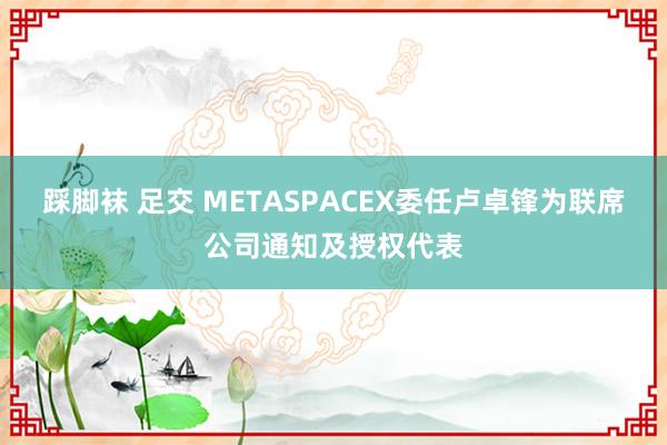 踩脚袜 足交 METASPACEX委任卢卓锋为联席公司通知及授权代表