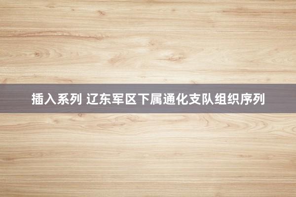 插入系列 辽东军区下属通化支队组织序列