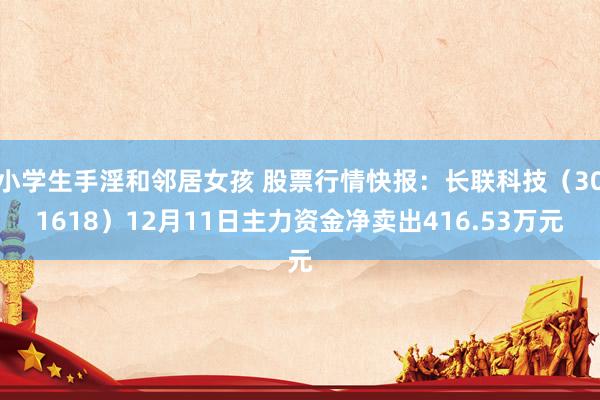 小学生手淫和邻居女孩 股票行情快报：长联科技（301618）12月11日主力资金净卖出416.53万元