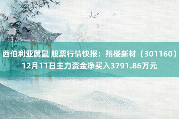 西伯利亚属鼠 股票行情快报：翔楼新材（301160）12月11日主力资金净买入3791.86万元