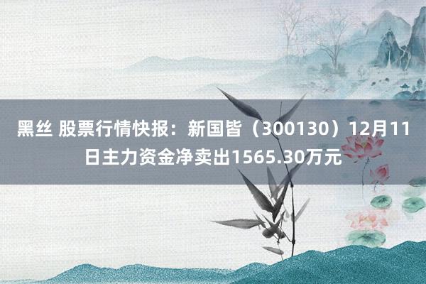 黑丝 股票行情快报：新国皆（300130）12月11日主力资金净卖出1565.30万元