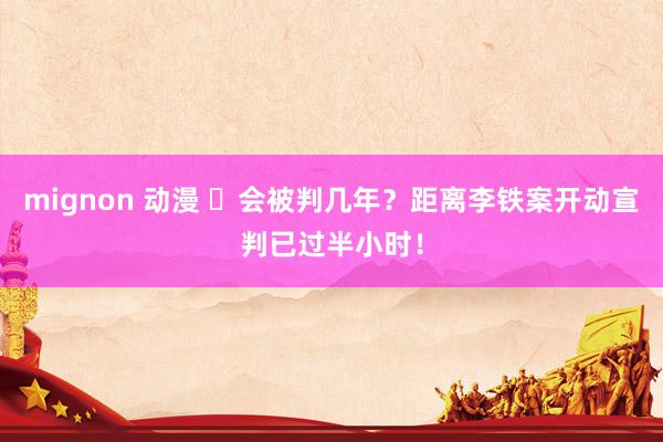 mignon 动漫 ⌛会被判几年？距离李铁案开动宣判已过半小时！