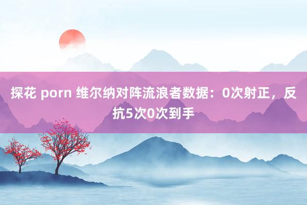 探花 porn 维尔纳对阵流浪者数据：0次射正，反抗5次0次到手