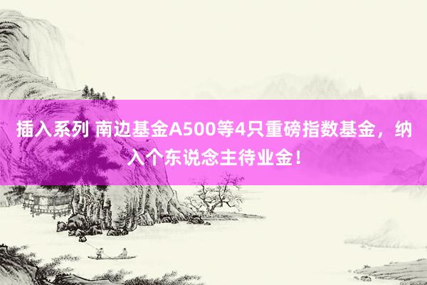 插入系列 南边基金A500等4只重磅指数基金，纳入个东说念主待业金！