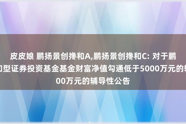 皮皮娘 鹏扬景创搀和A，鹏扬景创搀和C: 对于鹏扬景创搀和型证券投资基金基金财富净值勾通低于5000万元的辅导性公告
