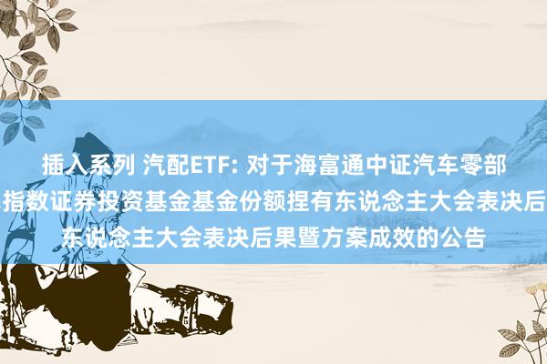 插入系列 汽配ETF: 对于海富通中证汽车零部件主题来去型盛开式指数证券投资基金基金份额捏有东说念主大会表决后果暨方案成效的公告