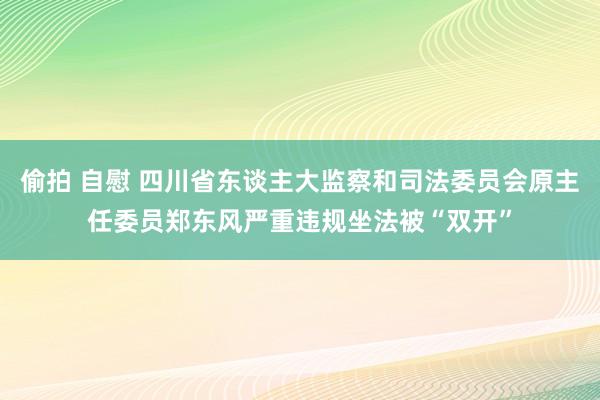 偷拍 自慰 四川省东谈主大监察和司法委员会原主任委员郑东风严重违规坐法被“双开”