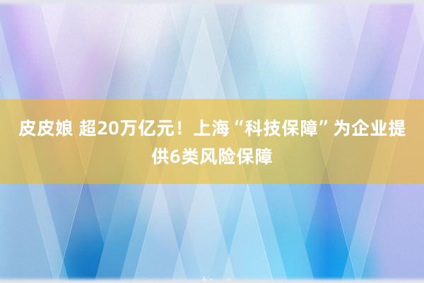 皮皮娘 超20万亿元！上海“科技保障”为企业提供6类风险保障