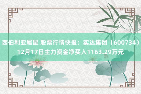 西伯利亚属鼠 股票行情快报：实达集团（600734）12月17日主力资金净买入1163.29万元