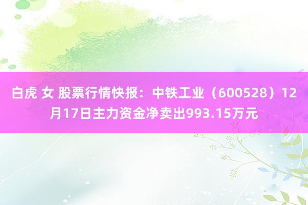 白虎 女 股票行情快报：中铁工业（600528）12月17日主力资金净卖出993.15万元