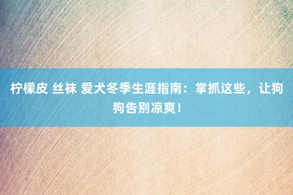 柠檬皮 丝袜 爱犬冬季生涯指南：掌抓这些，让狗狗告别凉爽！