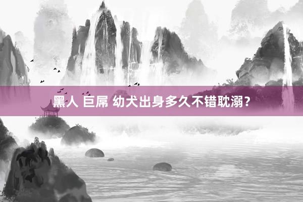 黑人 巨屌 幼犬出身多久不错耽溺？