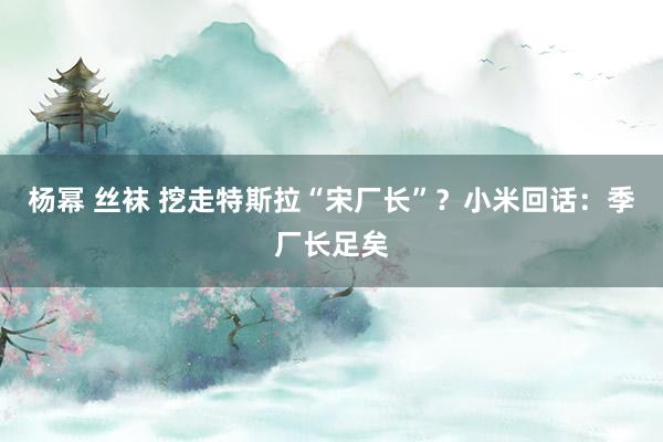 杨幂 丝袜 挖走特斯拉“宋厂长”？小米回话：季厂长足矣