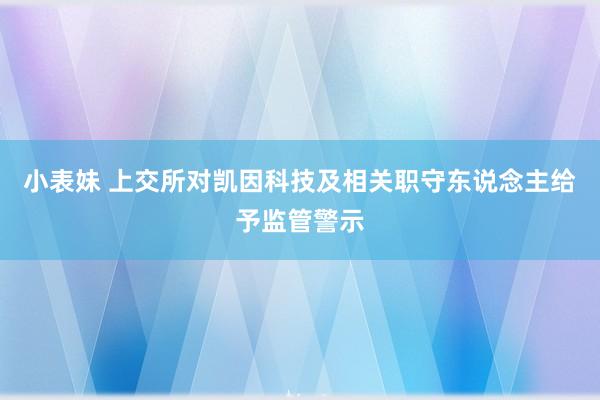 小表妹 上交所对凯因科技及相关职守东说念主给予监管警示