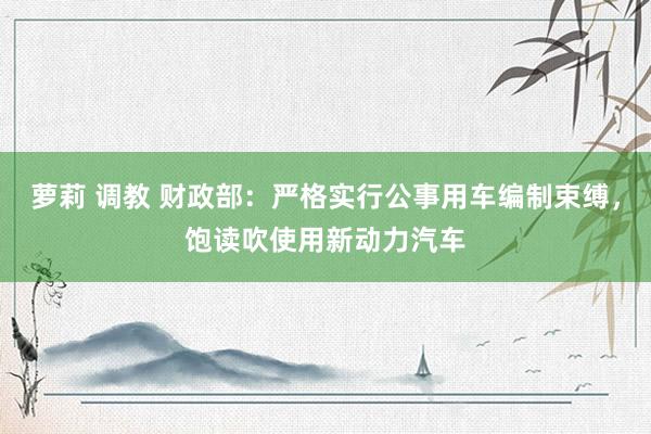 萝莉 调教 财政部：严格实行公事用车编制束缚，饱读吹使用新动力汽车