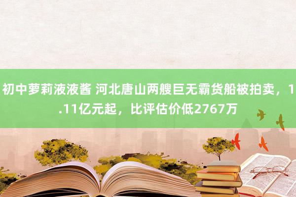 初中萝莉液液酱 河北唐山两艘巨无霸货船被拍卖，1.11亿元起，比评估价低2767万