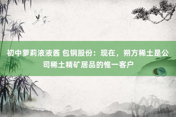 初中萝莉液液酱 包钢股份：现在，朔方稀土是公司稀土精矿居品的惟一客户