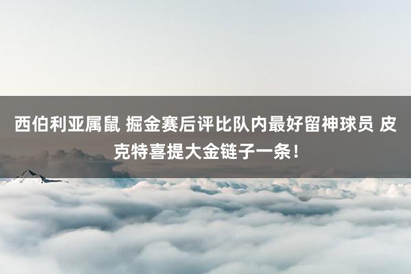 西伯利亚属鼠 掘金赛后评比队内最好留神球员 皮克特喜提大金链子一条！