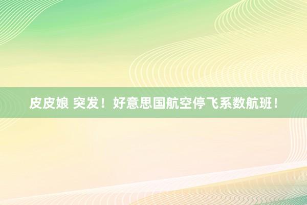 皮皮娘 突发！好意思国航空停飞系数航班！