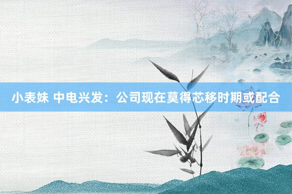 小表妹 中电兴发：公司现在莫得芯移时期或配合