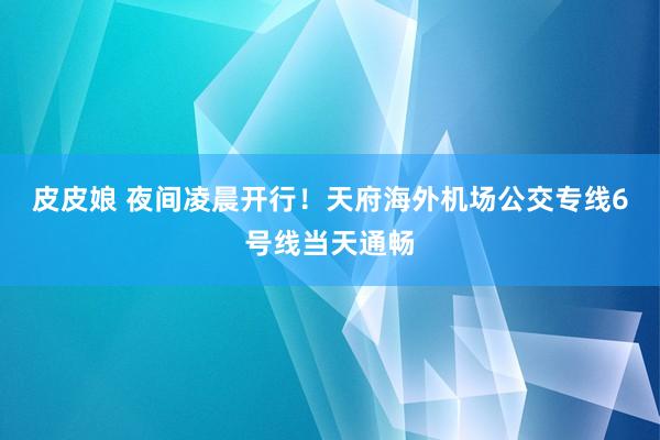 皮皮娘 夜间凌晨开行！天府海外机场公交专线6号线当天通畅