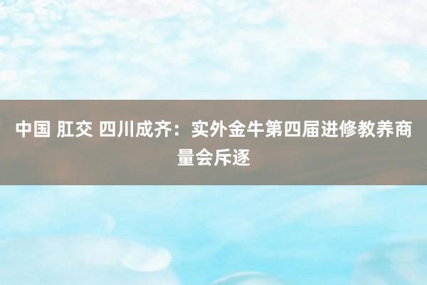 中国 肛交 四川成齐：实外金牛第四届进修教养商量会斥逐