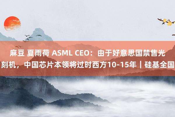 麻豆 夏雨荷 ASML CEO：由于好意思国禁售光刻机，中国芯片本领将过时西方10-15年｜硅基全国