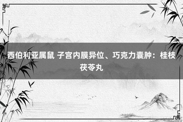 西伯利亚属鼠 子宫内膜异位、巧克力囊肿：桂枝茯苓丸